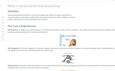 CASEN (Collaborative Advancement for Social-Emotional Needs) Education Social Network Wellness Academy is introduced